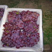 2017 frutas frescas uvas frescas exportador